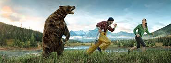 Outrun the bear with disciplined investing strategies from 25 Financial.
