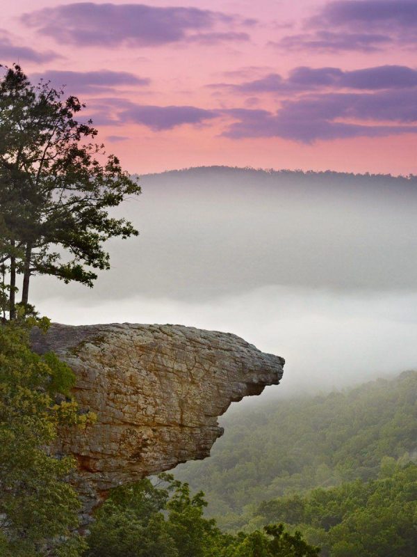 Arkansas Background