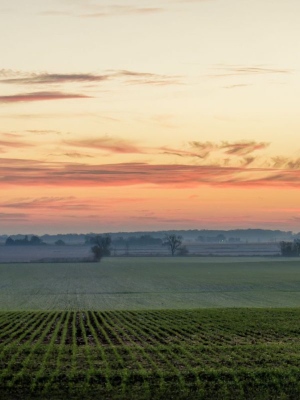 Illinois Background