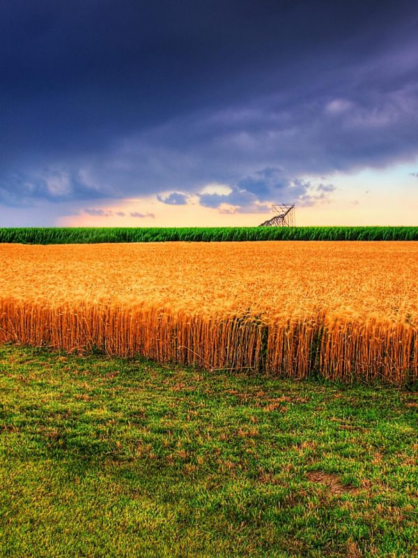 Kansas Background