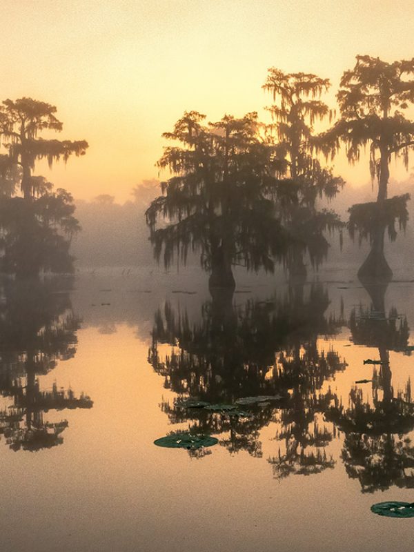 Louisiana Background