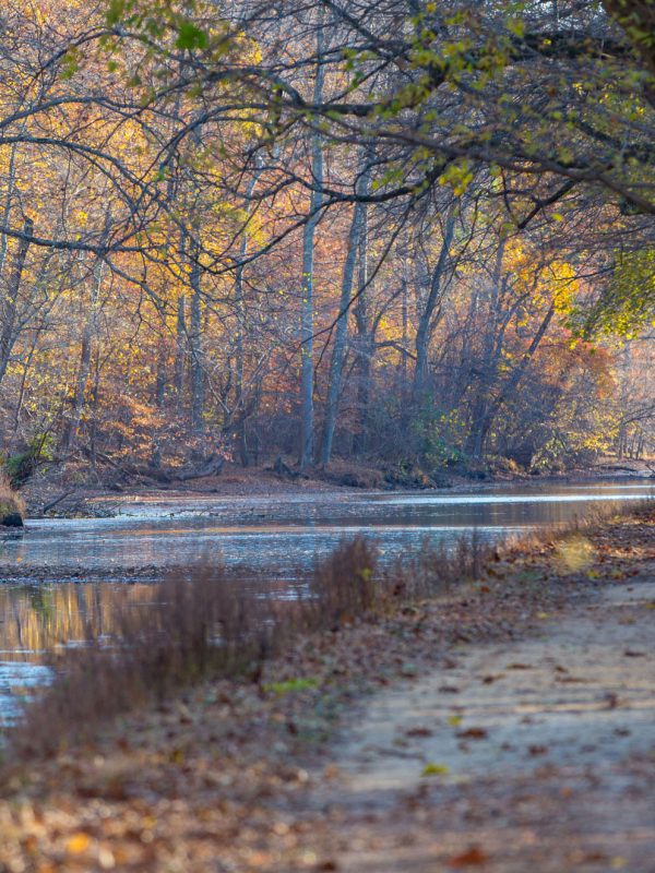 Maryland Background