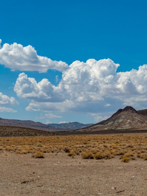 Nevada Background