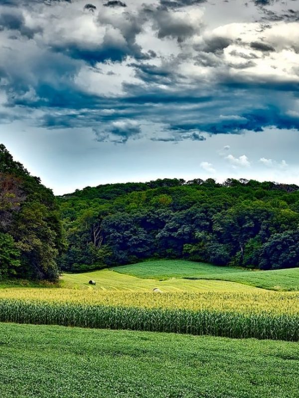 Wisconsin Background